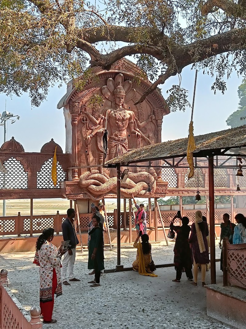 Shri Nagvasuki Mandir - Shri Nagvasuki Mandir Daraganj Ghat, FV4M+RPQ, near by Rameshar Mandir, Daraganj, Prayagraj, Uttar Pradesh 211006, India