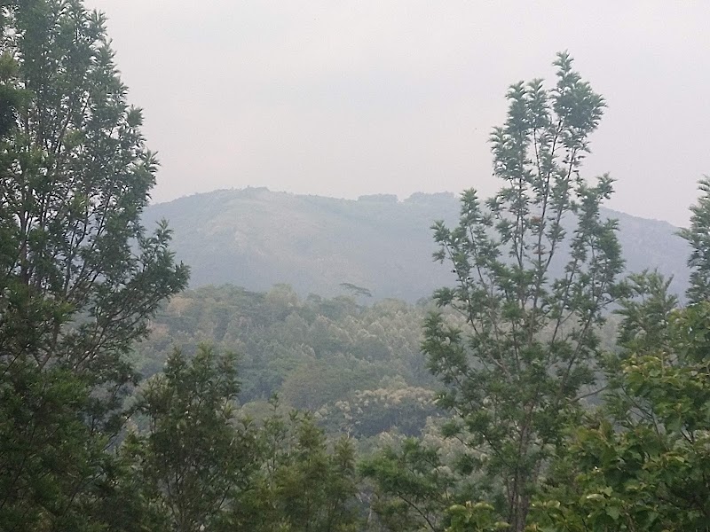 Karadiyur View Point - Yercaud - Karadiyur View Point - Yercaud R5QQ+CVM, Nagloor Kolakoor Road, Karadiyoor, Elavadi, Kotadiyar, Tamil Nadu 636602, India
