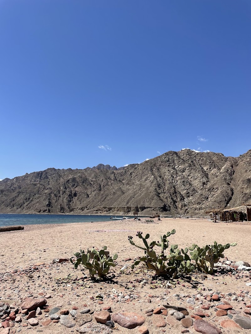 Abu Galoum