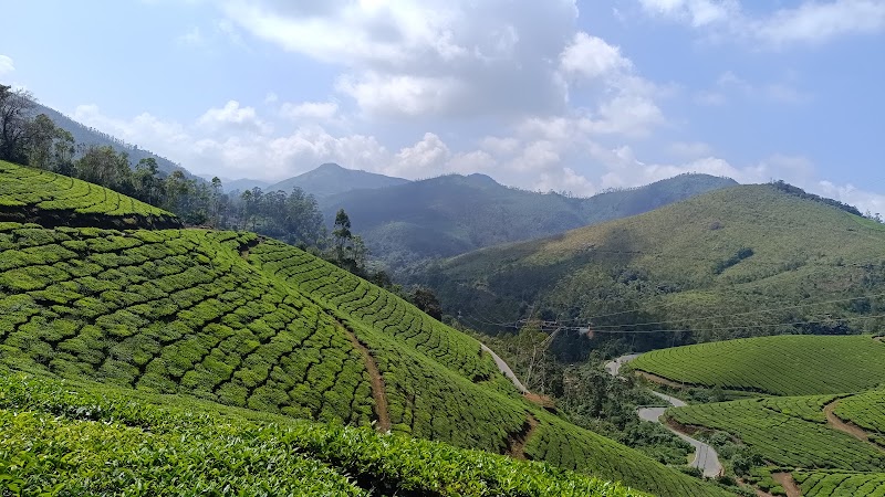Kerala Tourism Hub - Kerala Tourism Hub, 1st floor, Madathiparambil Building, Puthiya Road, Vennala, Kochi, Kerala 682028, India