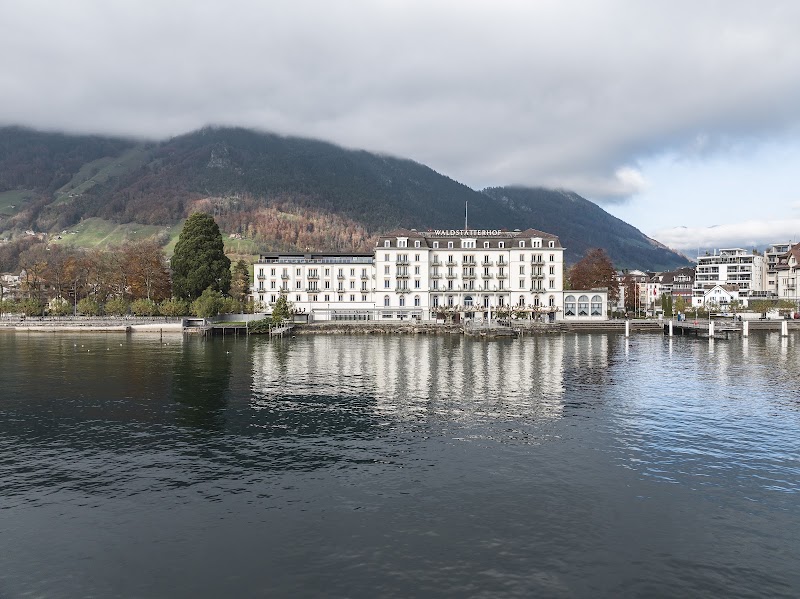 Seehotel Waldstätterhof