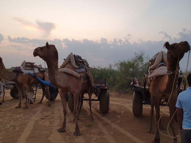 Raisar Camp - Raisar Camp, Village Raisar, Bikaner, Rajasthan 334001, India