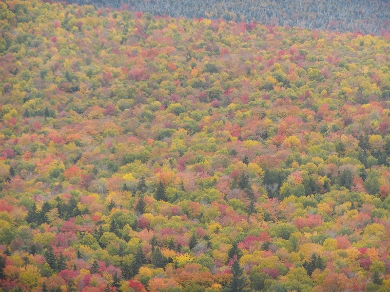 Hancock Overlook - Hancock Overlook Kancamagus Hwy, Lincoln, NH 03251, USA