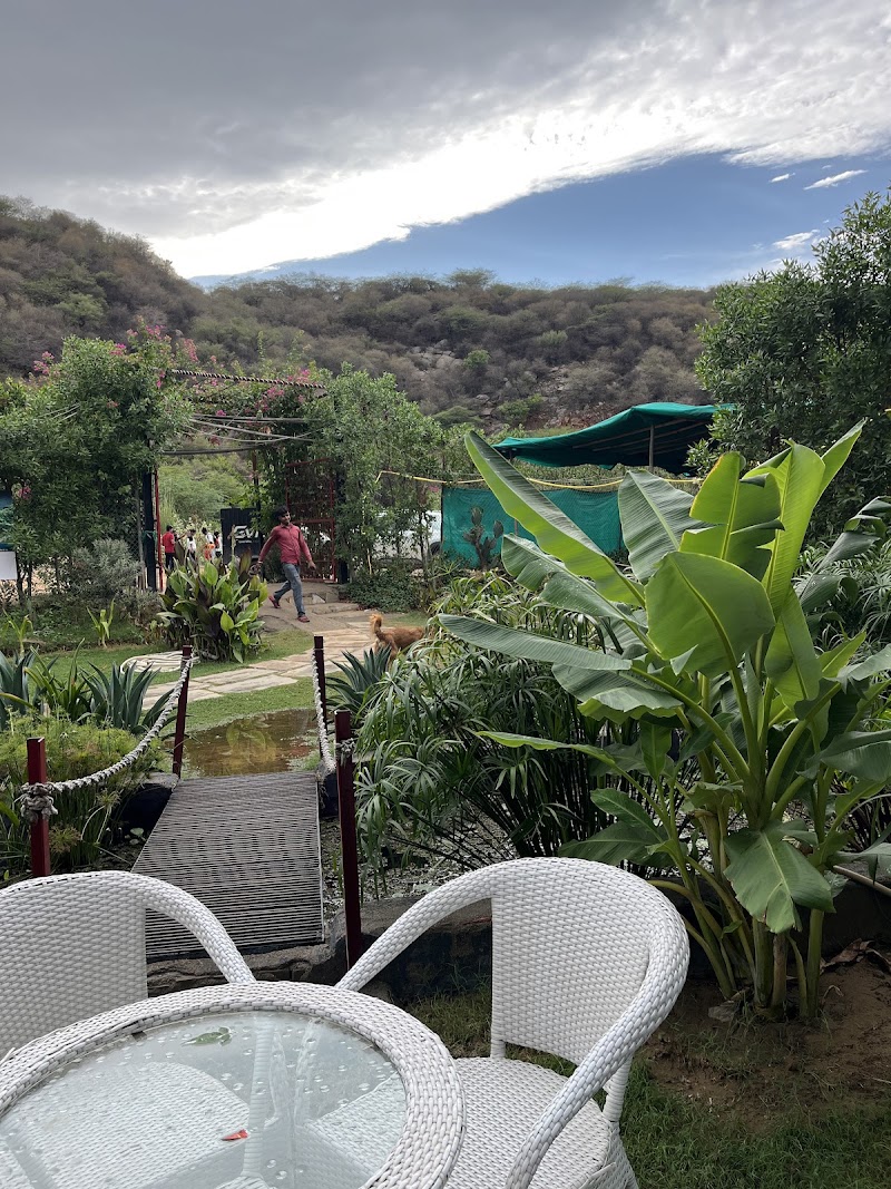 Boho Retreat & Stays - Boho Retreat & Stays Leopard Trail, Pandala Haveli, Village Pandala, Gurugram, Haryana 122101, India