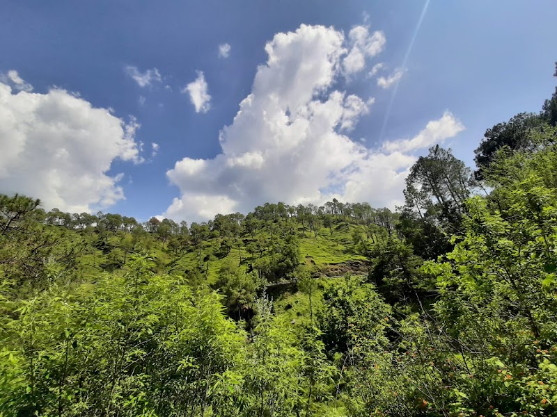 Binsar Wildlife Sanctuary - Binsar Wildlife Sanctuary PQ43+6H4, Binsar, Uttarakhand 263601, India