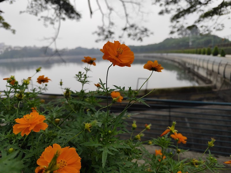 Sankey Tank Park - Sankey Tank Park 2H5F+F2F, Sankey Tank Trail, Kodandarampura, Malleshwaram, Bengaluru, Karnataka 560080, India
