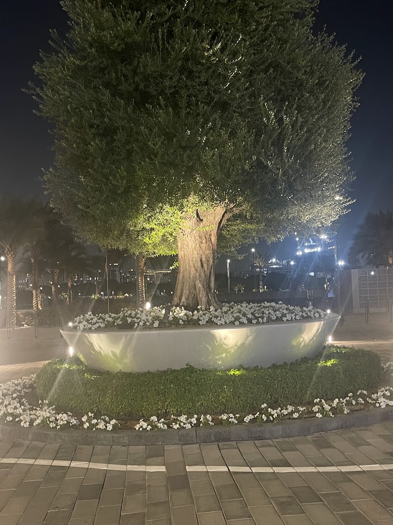 Dubai Hills Mall - Valet/Drop Off 1 - Dubai Hills Mall - Valet/Drop Off 1, 463Q+GPW - Hadaeq Sheikh Mohammed Bin Rashid - Dubai - United Arab Emirates