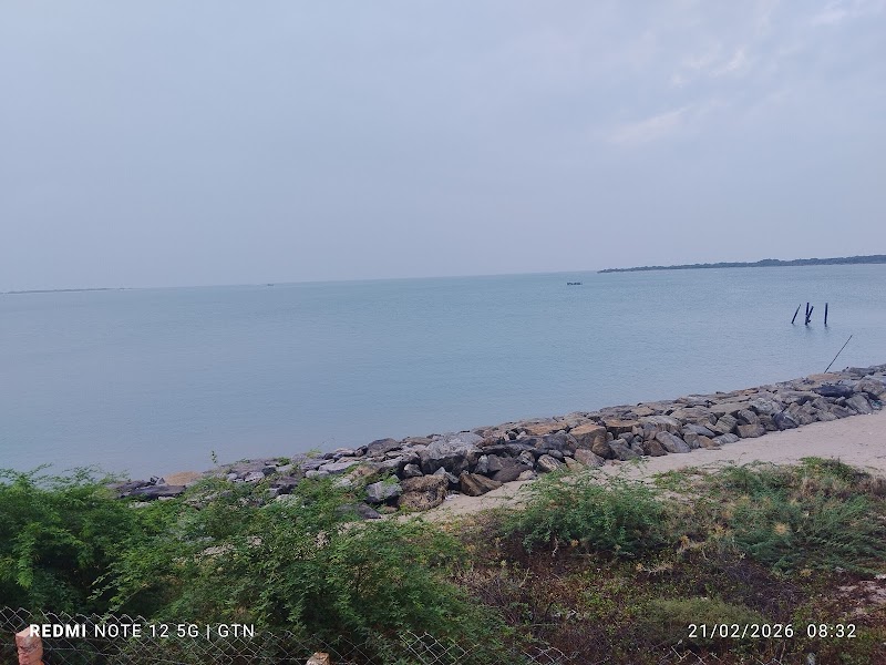 Kurusadai island - community based Eco tourism - Kurusadai island - community based Eco tourism, 765C+8G, Pamban, Tamil Nadu 623529, India