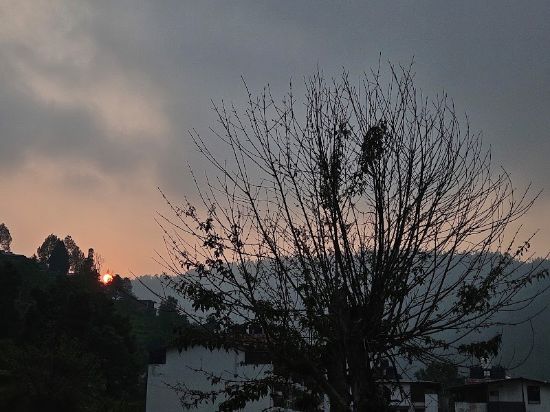 The Central House Home Stay - The Central House Home Stay, The central house homestay, near nanteen baba ashram, near tea garden shyamkhet, Bhowali, Sukha, Uttarakhand 263156, India