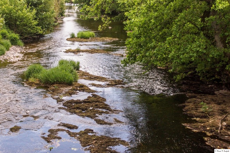 River Exe - River Exe, United Kingdom