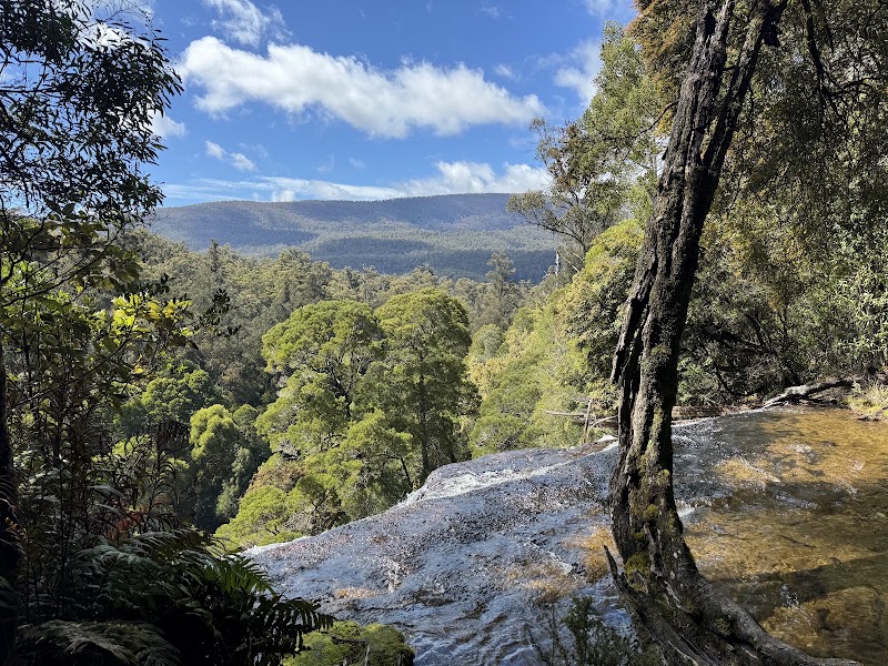 Mount Field Visitor Centre - Mount Field Visitor Centre, 66 Lake Dobson Rd, Mount Field TAS 7140, Australia