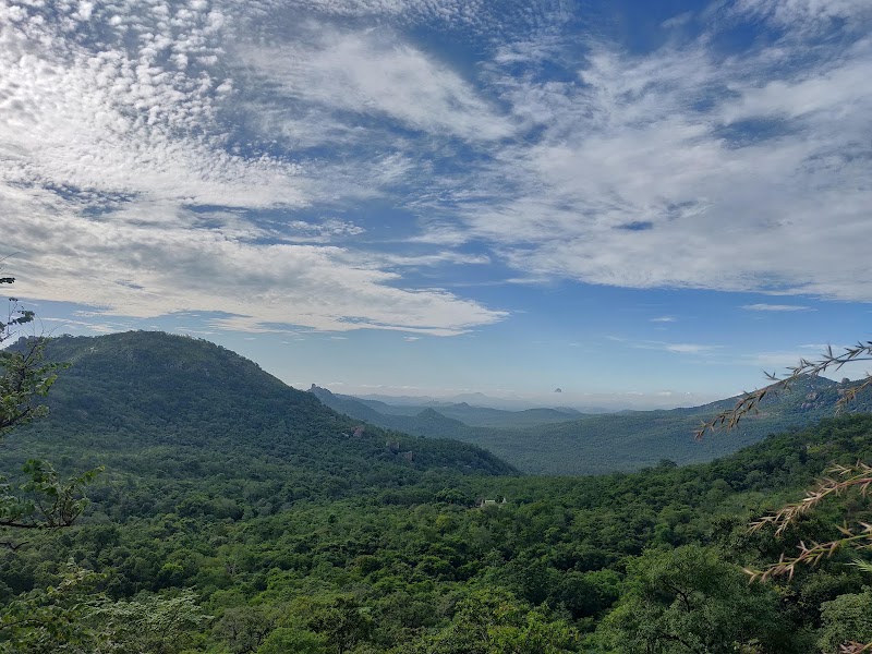 Devarayanadurga SF - Devarayanadurga SF, Karnataka 572140, India
