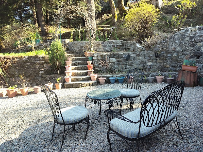 ROSASTAYS Mallital, Nainital - ROSASTAYS Mallital, Nainital, Rosastays, H.No.45, Vienna Cottage, Dhampur Bend, Mallital, Nainital, Uttarakhand 263001, India