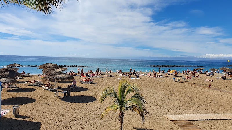 Playa del Duque - Playa del Duque, Spain