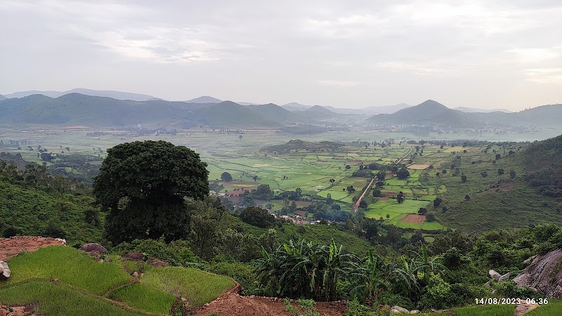 ARAKU VALLEY - ARAKU VALLEY, Araku - Visakhapatnam Rd, Kantabamsuguda, Andhra Pradesh 531149, India