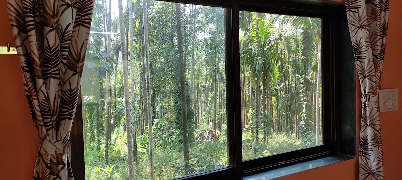 The MINIGO Home Stay ( म्हसकर - पेंडसे बाग ) - The MINIGO Home Stay ( म्हसकर - पेंडसे बाग ), Vanand Gaav Rd, Loware Wadi, Vanand, Maharashtra 415712, India
