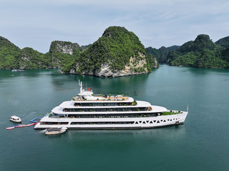 Elite of the Seas - Best Luxury Cruise in Halong bay - Elite of the Seas - Best Luxury Cruise in Halong bay, 3rd Floor, PaxSky Building 70 Hoa Ma Str.., Hai Ba Trung Dis.., Hanoi, Vietnam hà nội, Hai Bà Trưng, Hà Nội 10000, Vietnam