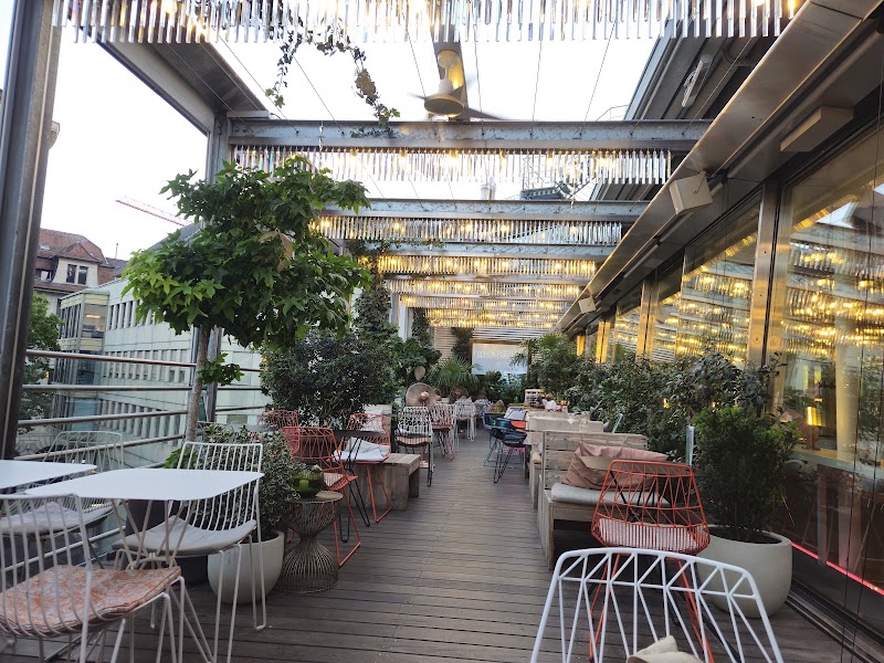 Hiltl Dachterrasse - Hiltl Dachterrasse Bahnhofstrasse 88, 8001 Zürich, Switzerland