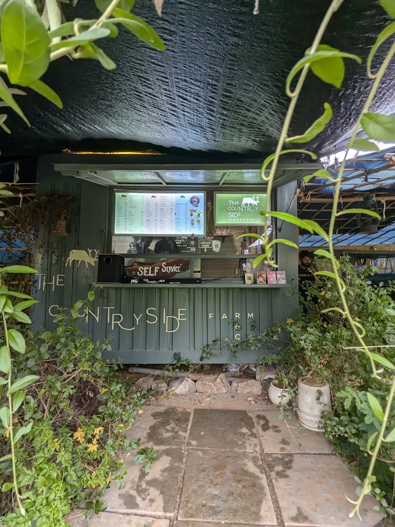 THE COUNTRY SIDE - FARM & CAFE - THE COUNTRY SIDE - FARM & CAFE 1, Liyo ka, Guda, Badi Lake Rd, near Villa Le Palm resort, Udaipur, Liyo Ka Gurha, Rajasthan 313011, India