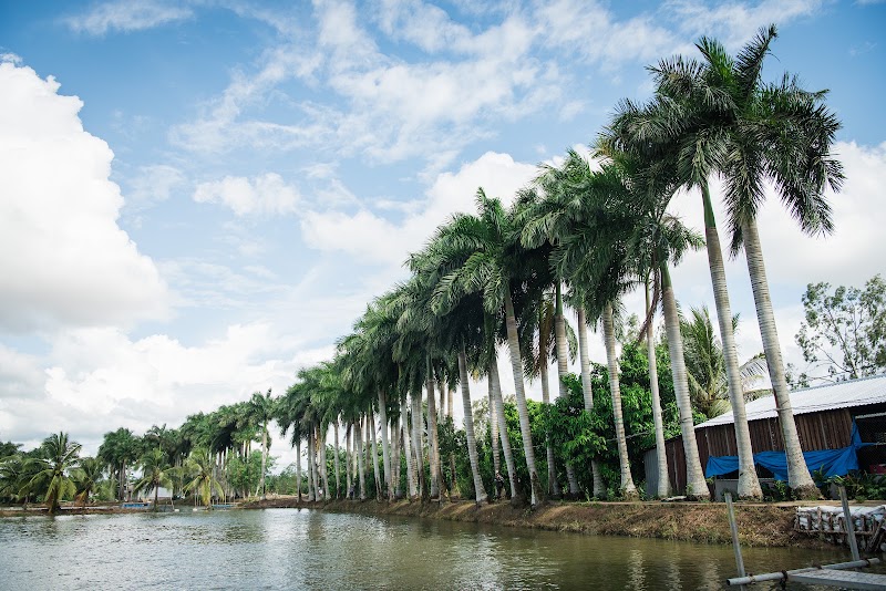 Cồn Sơn - Cồn Sơn, Bình Thủy, Cần Thơ, Vietnam