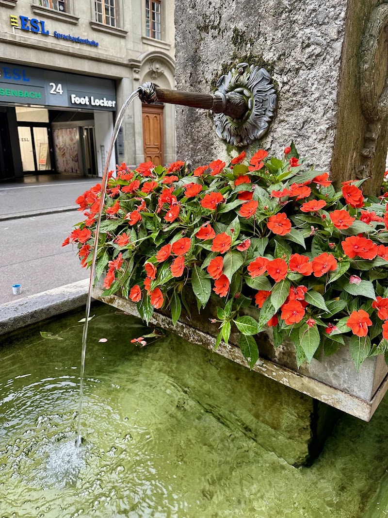 Ryfflibrunnen - Ryfflibrunnen Aarbergergasse, 3011 Bern, Switzerland