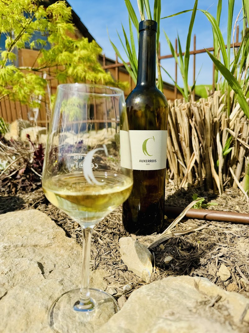WEINGUT CARLSFELSEN - WEINGUT CARLSFELSEN, Obermoselstraße 2, 54439 Palzem, Germany