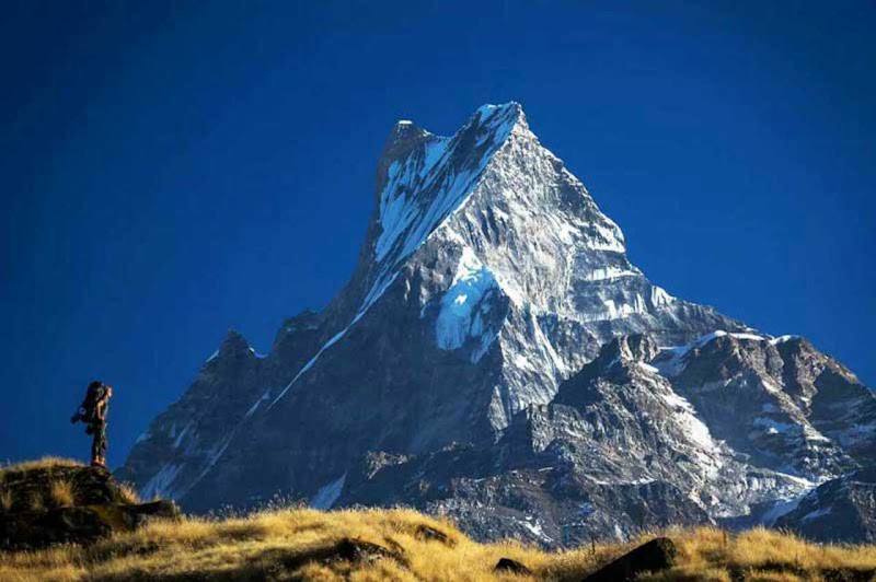 Mardi Himal - Mardi Himal FWFH+73C, Lwang Ghalel 33700, Nepal