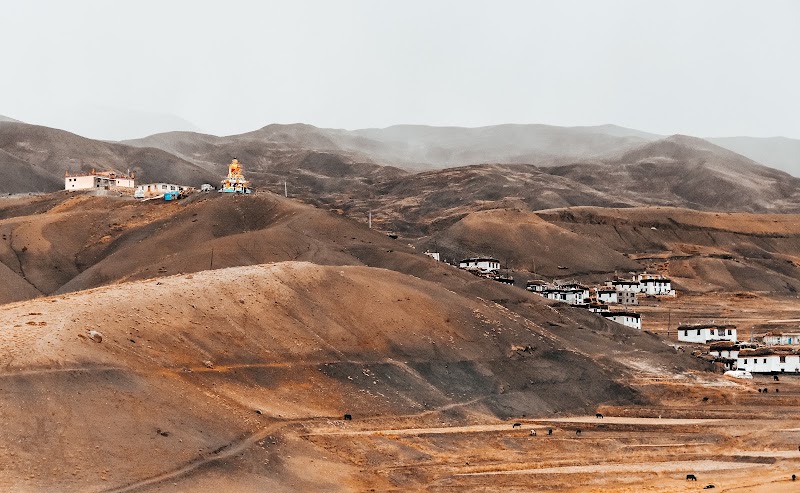 Langza - Langza, Himachal Pradesh 172114, India