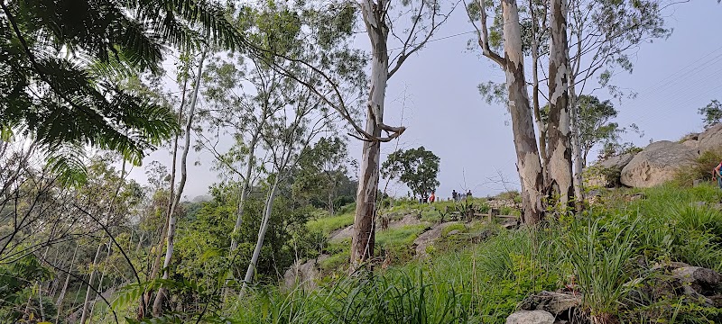 Nandi hills - Nandi hills Nandi Hills, Manivartapete, Sultanpete, Bengaluru, Karnataka 560053, India