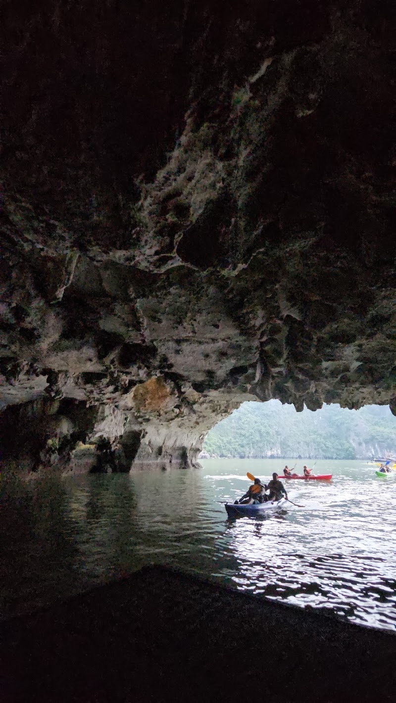 Paradise Sails Cruise Ha Long - Paradise Sails Cruise Ha Long, WXGP+XCF Tuan Chau, Tuần Châu, Quảng Ninh 036000, Vietnam