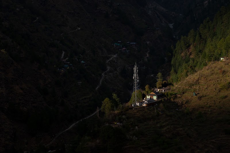 The Social Stays Tirthan - The Social Stays Tirthan, Gushaini, Himachal Pradesh, India, 175123 Gurshaini, Sharchi, Himachal Pradesh 175123, India