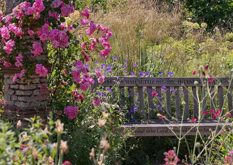 Old English Garden - Old English Garden, 4 St Agnes Pl, London SE11 4BE, UK