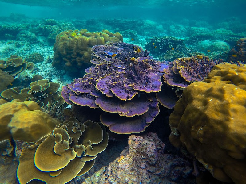Koh​ Haa (Five Island)​ - Koh​ Haa (Five Island)​, CVHV+XXC Ko Haa (Five Island, Khao Thong, Mueang Krabi District, Krabi 81000, Thailand