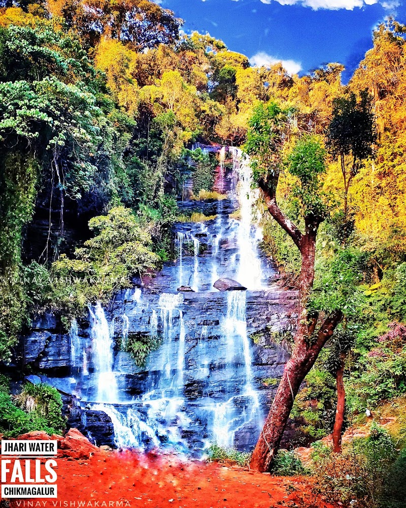 Jhari water falls path - Jhari water falls path, Inam Dattathreya Peeta, Karnataka 577131, India