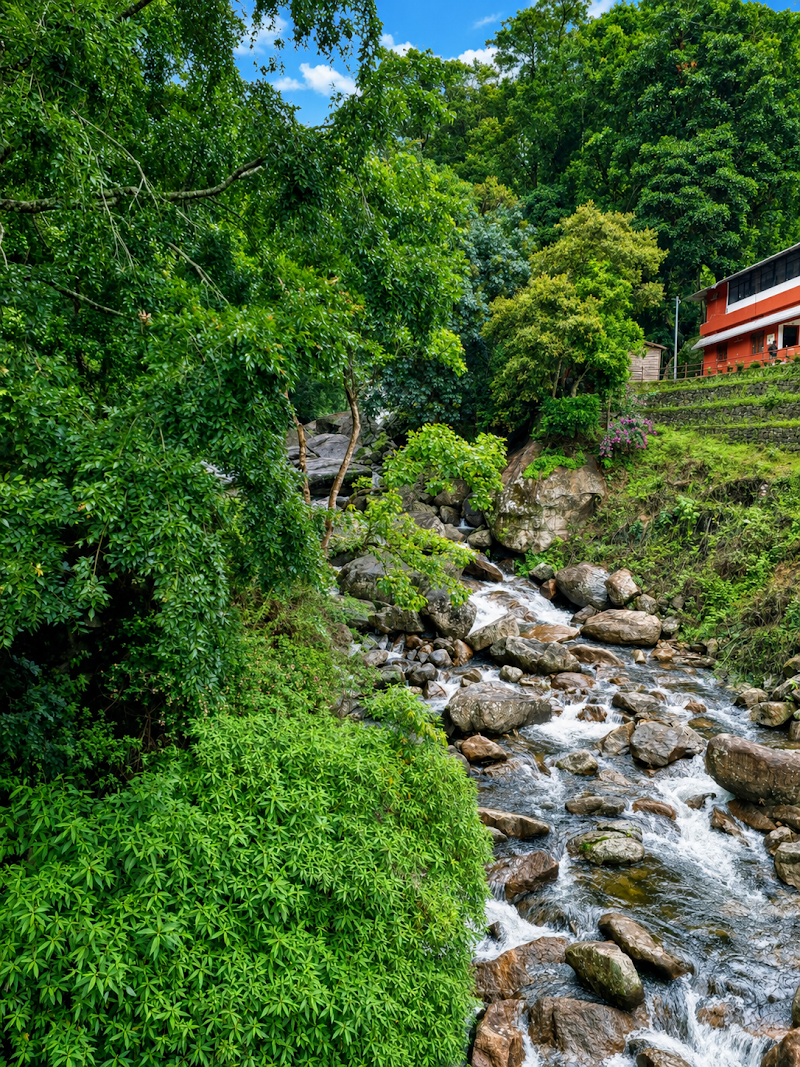 Munnar Dreams Holidays