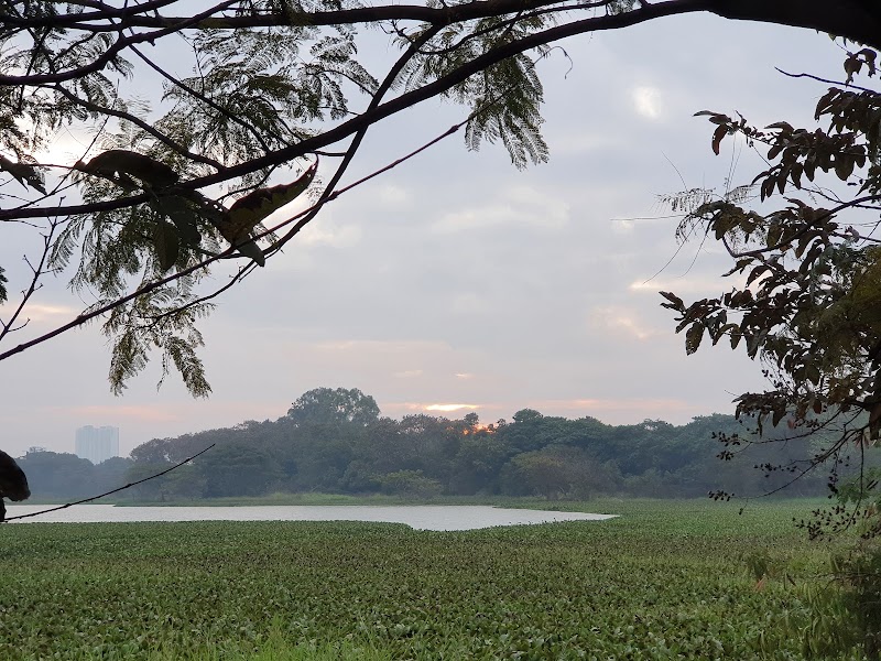 Hebbal Lake - Hebbal Lake, Hebbal Kempapura, Bengaluru, Karnataka 560092