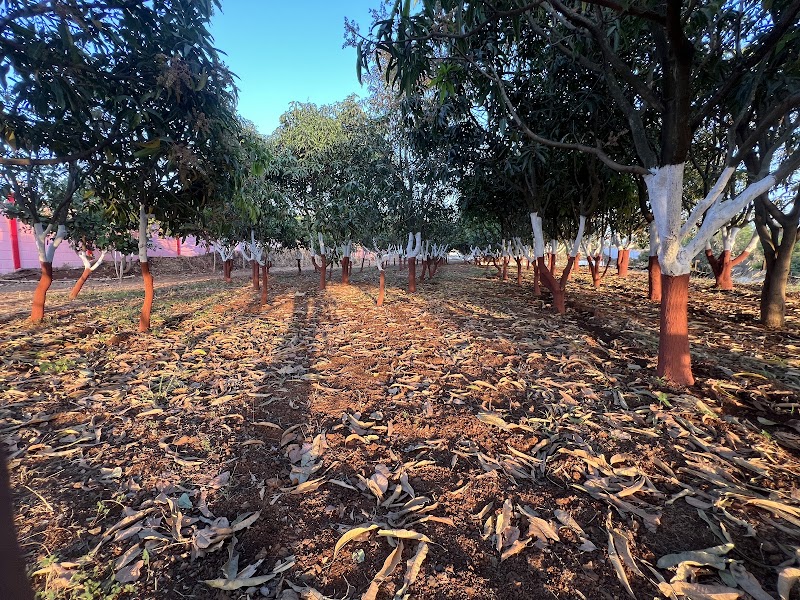 COUNTRY SIDE by DONGREJ RESORTS - COUNTRY SIDE by DONGREJ RESORTS XJ78+MVQ, Trambakeshwar Rd, Khambale, Maharashtra 422213, India