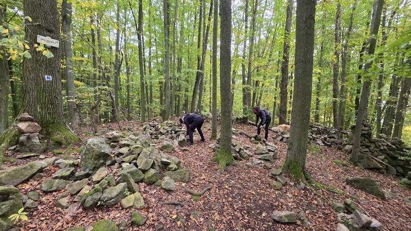 Jarník - Jarník, 397 01 Pisek-Písek 1, Czechia
