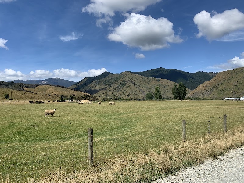 Mount Owen - Mount Owen, Tasman Region 7073, New Zealand
