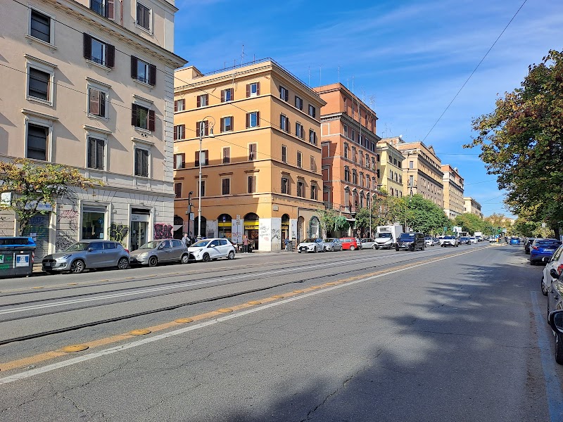 Marmorata/Vanvitelli