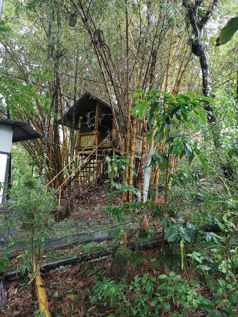 Banasura Ayurvedic &spices garden - Banasura Ayurvedic &spices garden Dam Road, Padinjarathara, Kerala 673575, India