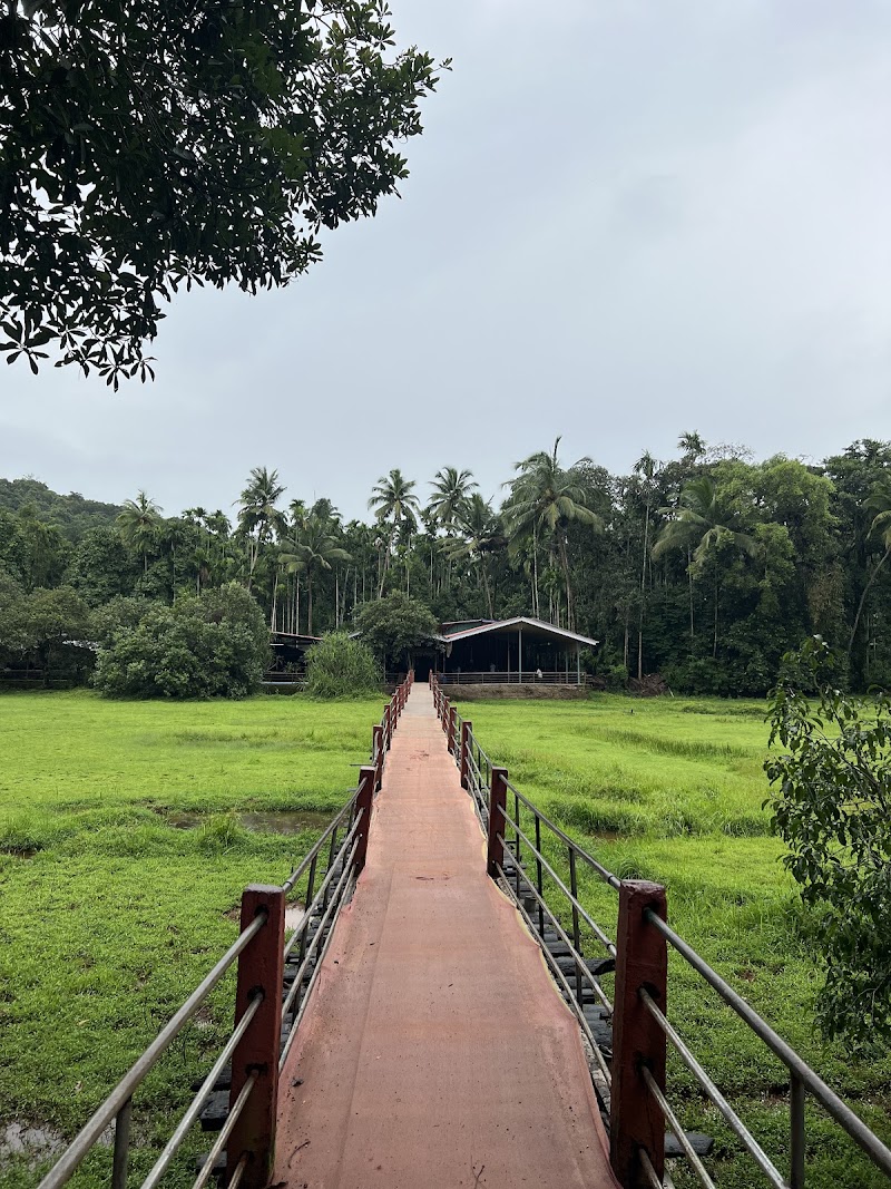 Tropical Spice Plantation - Tropical Spice Plantation H.No. A-14, Arla Bazar, Ponda, Keri, Goa 403404, India