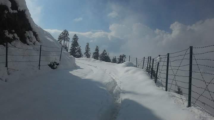 Garden Stay Shirar - Garden Stay Shirar, 348G+4Q7, Kullu, Himachal Pradesh 175128, India