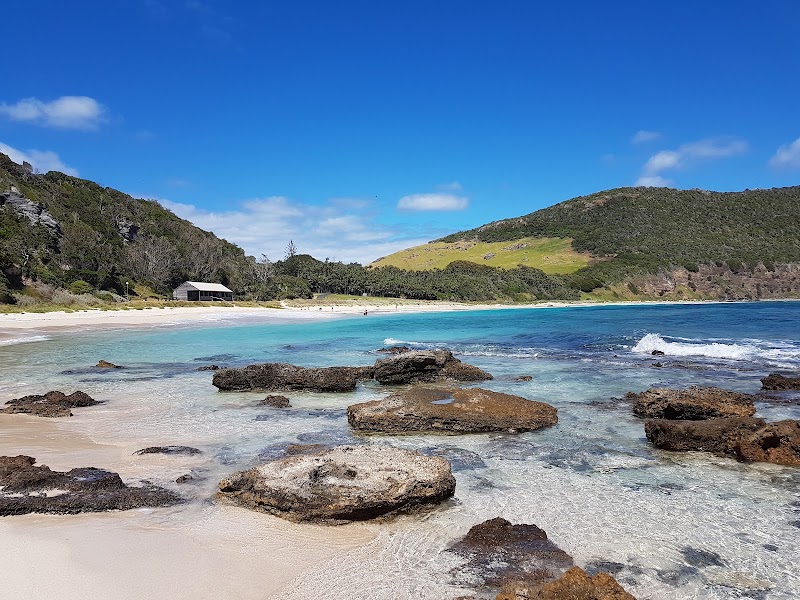 Neds Beach - Neds Beach, New South Wales, Australia