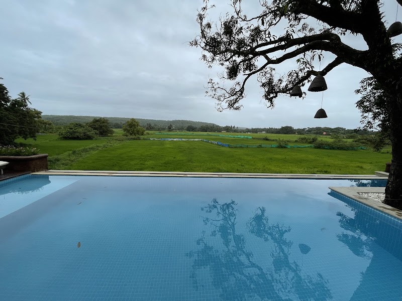 Villa Amore - Villa Amore H.No, 356 RK, 356, Munang Waddo, Bouta Waddo, Assagao, Goa 403507, India