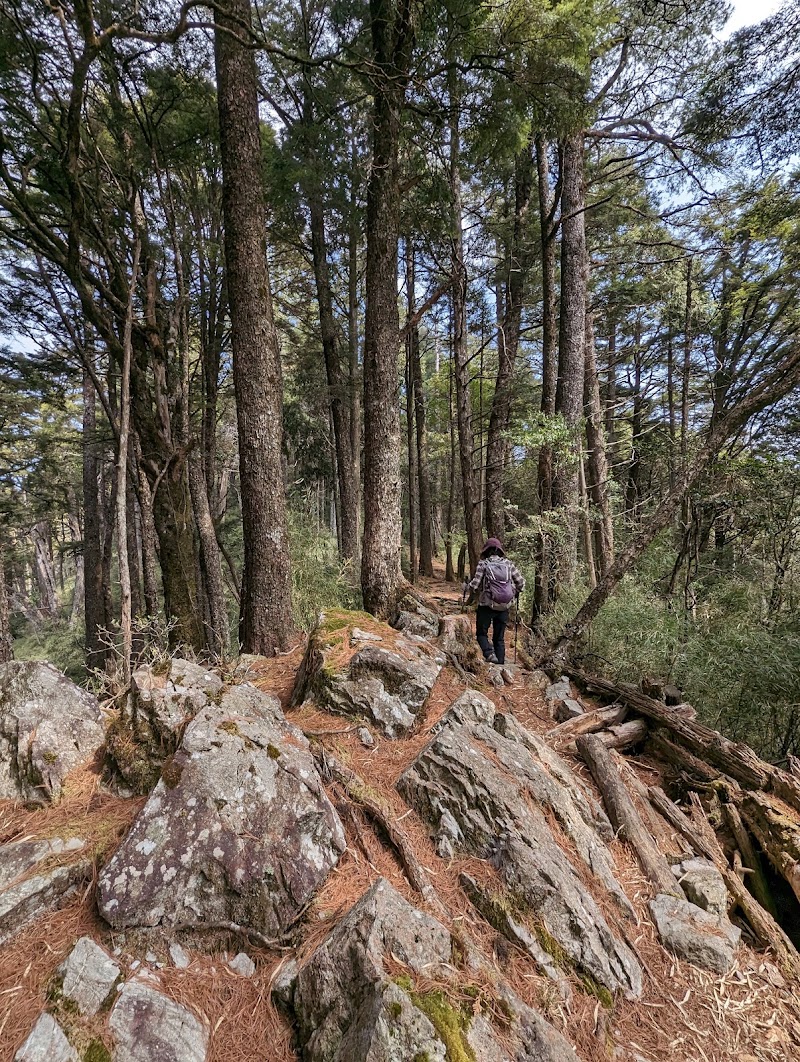 大雪山國家森林遊樂區木馬道 - 大雪山國家森林遊樂區木馬道, 424, Taiwan, Taichung City, Heping District, 台中市和平區