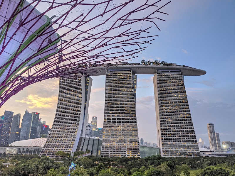 Supertree Grove - Supertree Grove 18 Marina Gardens Dr, Singapore 018953