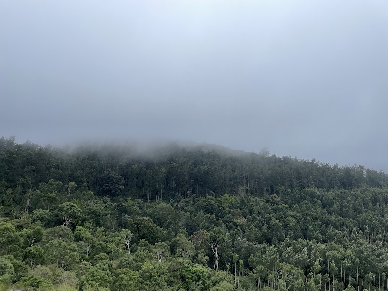 Idhazhya off road adventures. Yercaud - Idhazhya off road adventures. Yercaud New town, Yercaud, Tamil Nadu 636601, India