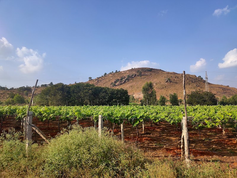 Avatihalli - Avatihalli, Hyderabad - Bengaluru Hwy, Avati, Karnataka 562110, India