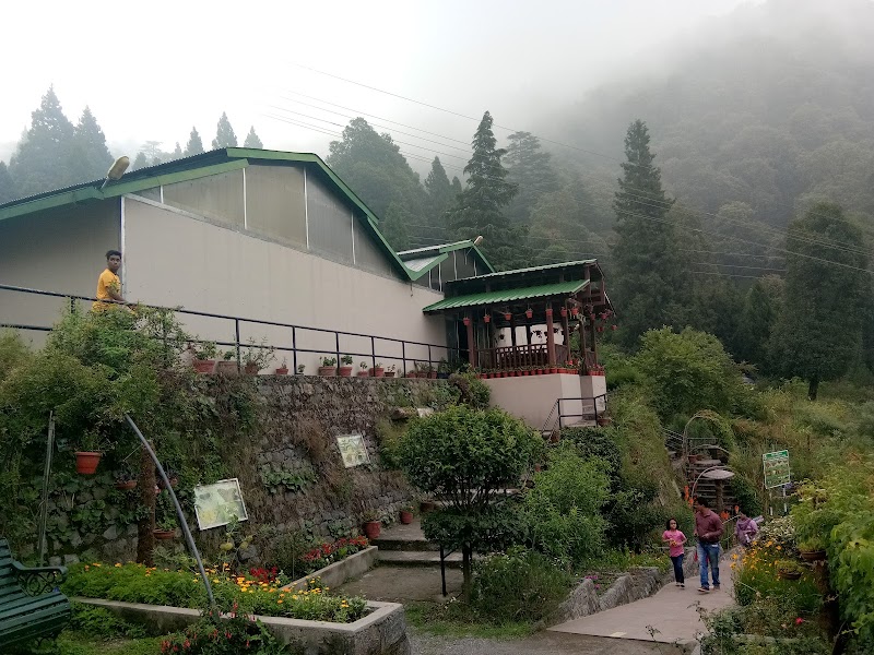 The Naini Retreat, Nainital - The Naini Retreat, Nainital Ayarpatta, Slopes, Mallital, Nainital, Uttarakhand 263001, India